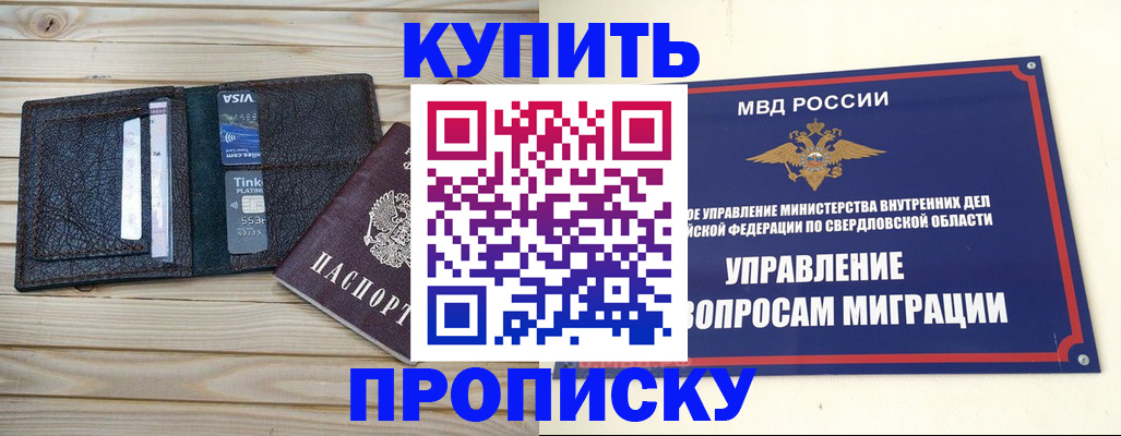 прописка поиск в Купино